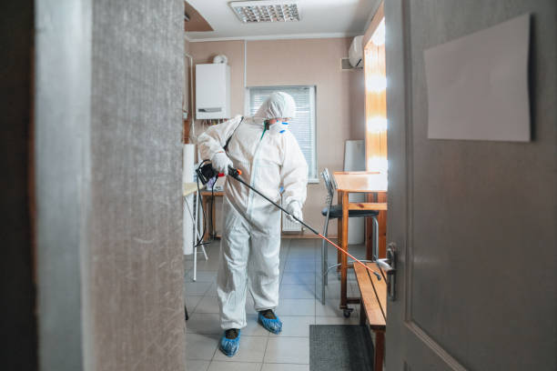 Best Mold Remediation for Healthcare Facilities  in Anderson Creek, NC