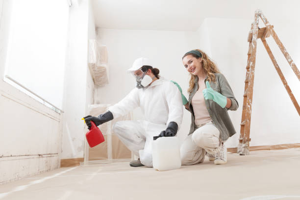 Best Mold Removal for HVAC Installations  in Anderson Creek, NC